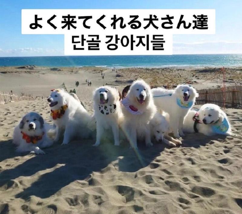 Plage Yuigahama Камакура Экстерьер фото